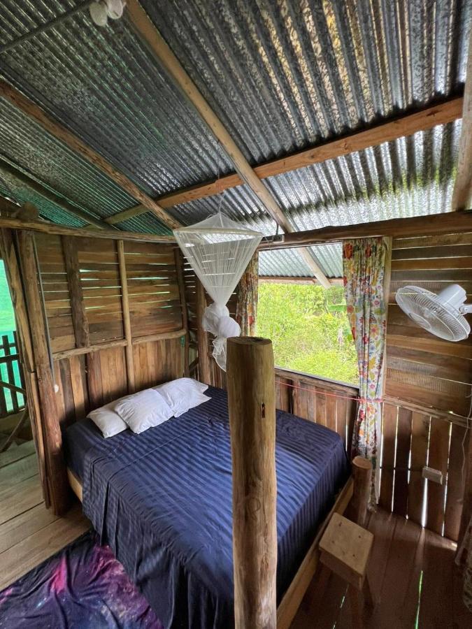 La Munequita Lodge 1 - Culture & Nature Experience Palmar Norte Esterno foto